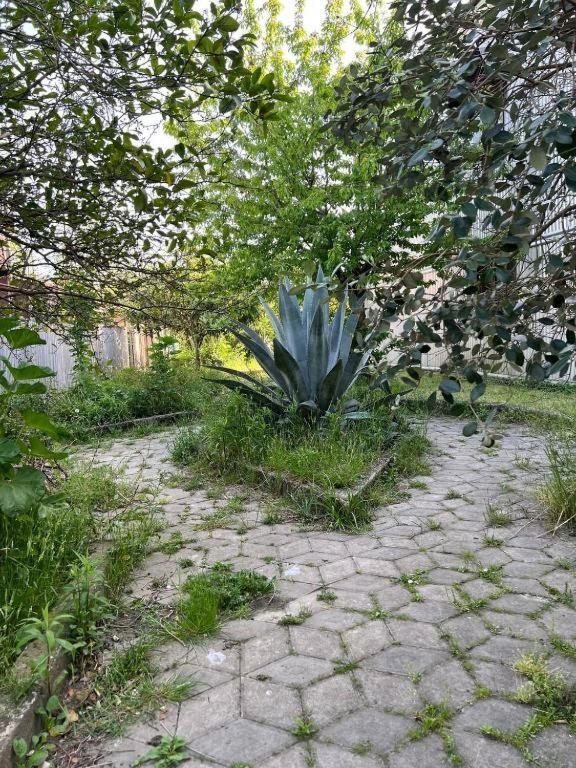 Hotel G I O Samtredia Εξωτερικό φωτογραφία