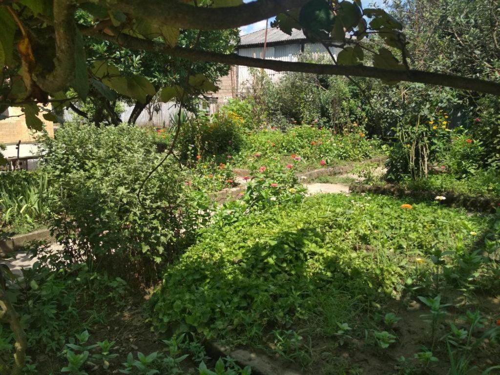 Hotel G I O Samtredia Εξωτερικό φωτογραφία